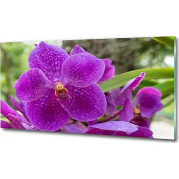 Obraz Foto obraz skleněný horizontální Orchidej