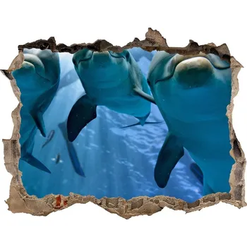 Fototapeta Díra 3D fototapeta na stěnu Tři delfíni