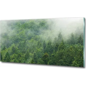 Obraz Fotoobraz na skle Tajemný les