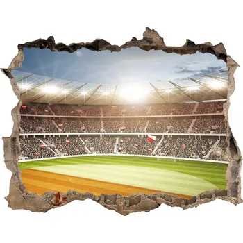 Fototapeta Fototapeta díra na zeď 3D Stadion Polsko