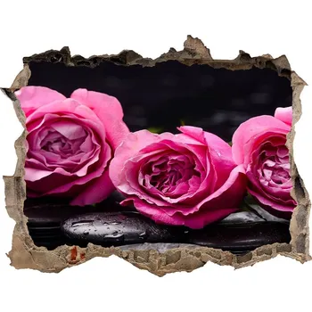 Fototapeta Samolepící díra na stěnu Růžové růže