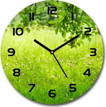 Hodiny Skleněné hodiny na stěnu Zelená louka