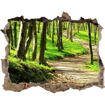 Fototapeta Nálepka fototapeta 3D výhled Stezka v lese