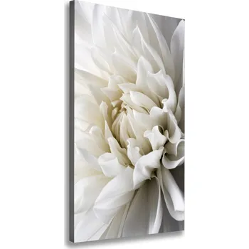 Obraz Vertikální Vertikální Foto obraz na plátně do obýváku Bílá dálie