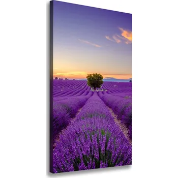 Obraz Vertikální Foto obraz canvas Pole levandule