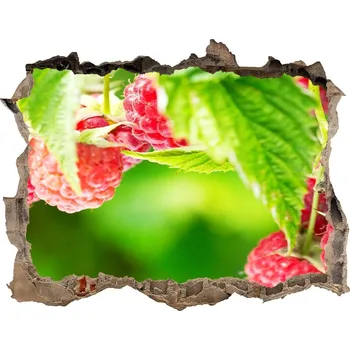 Fototapeta Samolepící nálepka na zeď Maliny v zahradě