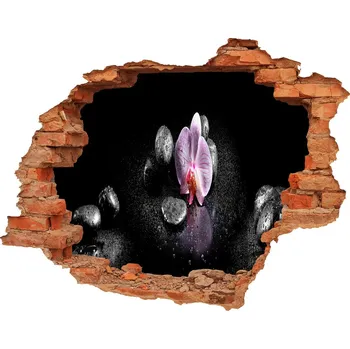 Fototapeta Samolepící díra na stěnu nálepka Orchidej