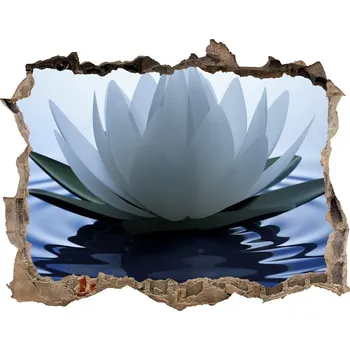 Fototapeta Samolepící nálepka fototapeta Vodní lilie