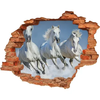 Fototapeta Fototapeta díra na zeď Koně ve cvalu