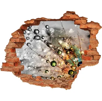 Fototapeta Samolepící nálepka na zeď Semena pampelišky