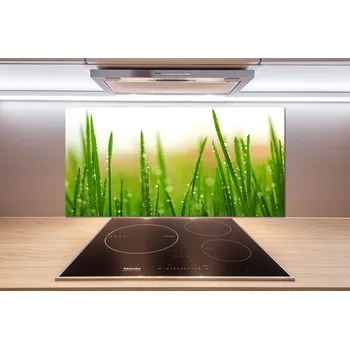 Obklad Skleněný panel do kuchyně Tráva