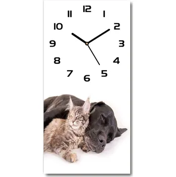 Hodiny Moderní hodiny nástěnné Pes a kočka