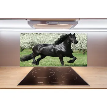 Obklad Panel do kuchyně Černý kůň květiny