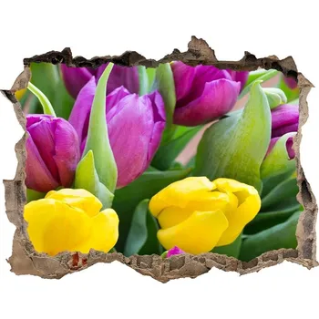 Fototapeta Samolepící nálepka na zeď Barevné tulipány