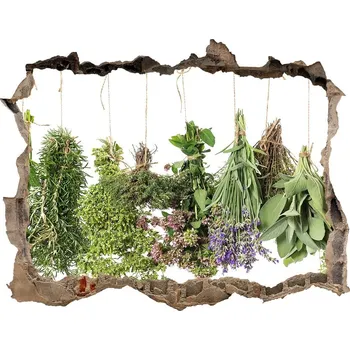 Fototapeta Nálepka 3D díra Bylinky na provázku