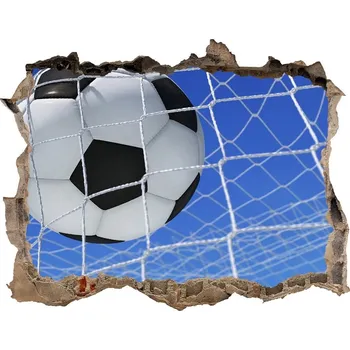 Fototapeta Fototapeta díra na zeď 3D Míč v brance