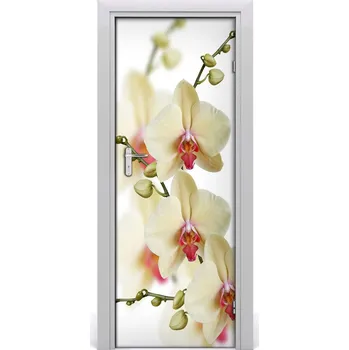 Fototapeta Samolepící fototapeta na dveře Orchidej 95x205 cm