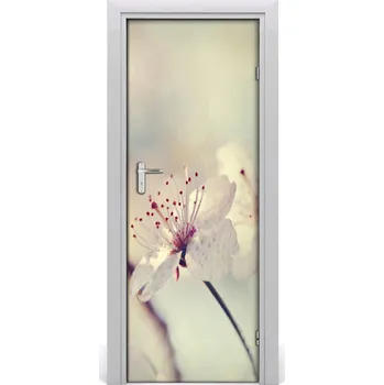 Fototapeta Samolepící fototapeta na dveře Květiny višně 75x205 cm