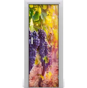 Fototapeta Fototapeta na dveře vinnice 75x205 cm