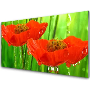Obraz Obraz na skle Máky Rostlina Příroda 125x50 cm 2 Přívěsky