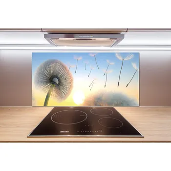 Obklad Dekorační panel sklo Pampeliška