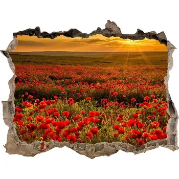 Fototapeta Nálepka fototapeta 3D výhled Pole máků