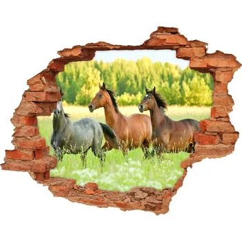 Fototapeta Díra 3D fototapeta nálepka Koně ve cvalu