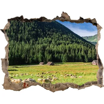 Fototapeta Díra 3D ve zdi na stěnu Ovce v Tatrách
