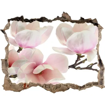 Fototapeta Samolepící díra nálepka Magnolie