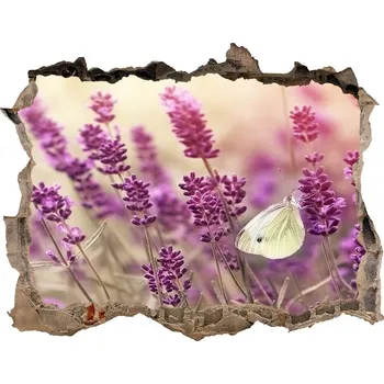 Fototapeta Samolepící díra nálepka beton Levandule