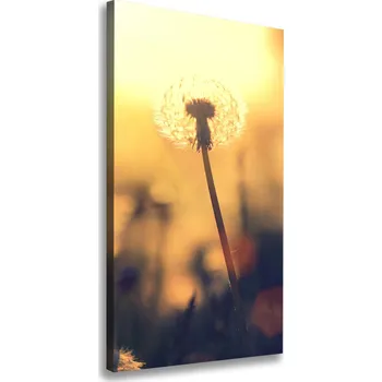 Obraz Vertikální Vertikální Foto obraz na plátně do obýváku Pampeliška