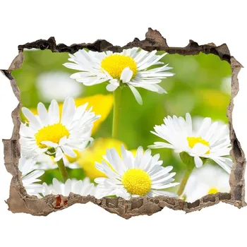 Fototapeta Samolepící díra nálepka Sedmikrásky