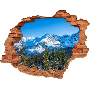 Fototapeta Díra 3D ve zdi nálepka Panorama Tatry