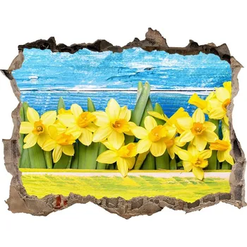 Fototapeta Samolepící díra na stěnu nálepka Narcis