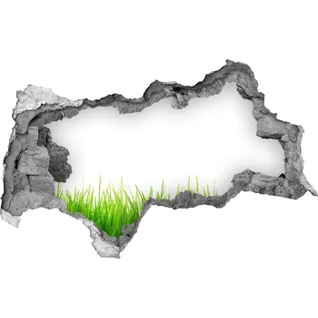 Fototapeta Samolepící nálepka Díra cihla tráva