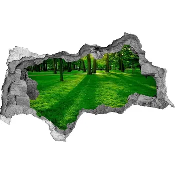 Fototapeta Díra 3D ve zdi nálepka Tráva v parku