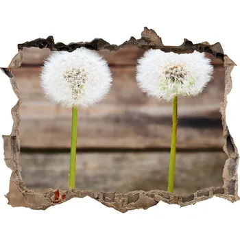 Fototapeta Samolepící díra nálepka Pampelišky