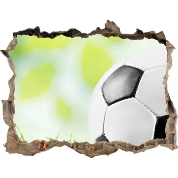 Fototapeta Foto fotografie díra na zeď Fotbal