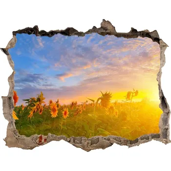 Fototapeta Nálepka fototapeta 3D Pole slunečníků