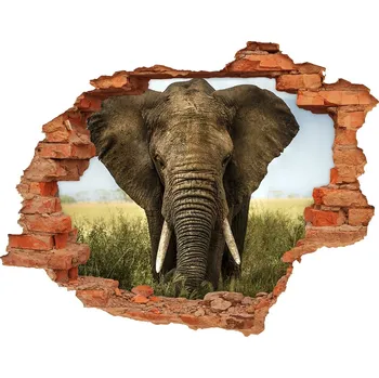 Fototapeta Díra 3D fototapeta na stěnu Sloni na savaně