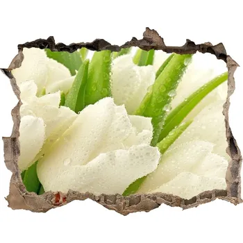 Fototapeta Samolepící díra na stěnu Bílé tulipány
