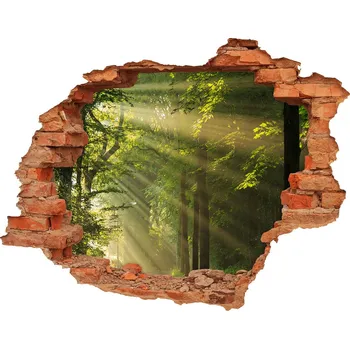 Fototapeta Nálepka fototapeta 3D výhled Les slunce