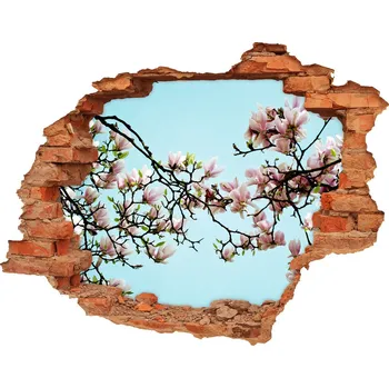 Fototapeta Samolepící díra nálepka Květy magnolie