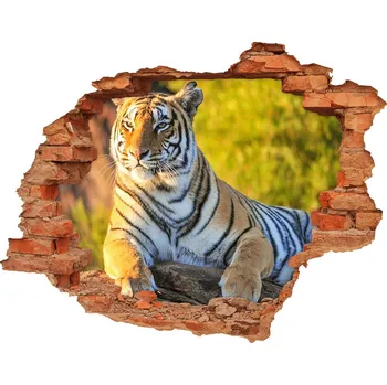 Fototapeta Díra 3D fototapeta nálepka Portrét tygra