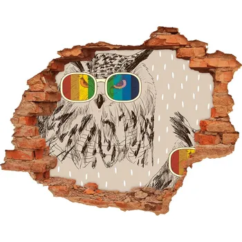 Fototapeta Díra 3D fototapeta nálepka Sovy v brýlích