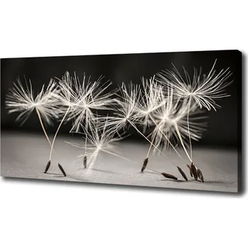 Obraz Foto obraz na plátně Semeno pampelišky