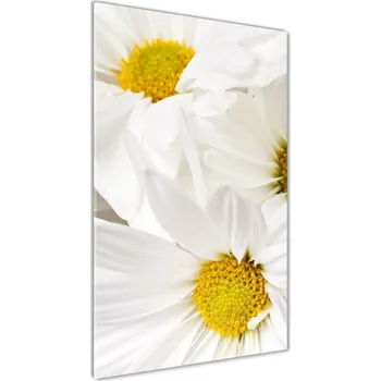 Obraz Vertikální Foto obraz sklo tvrzené Sedmikrásky