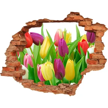 Fototapeta Samolepící nálepka na zeď Barevné tulipány