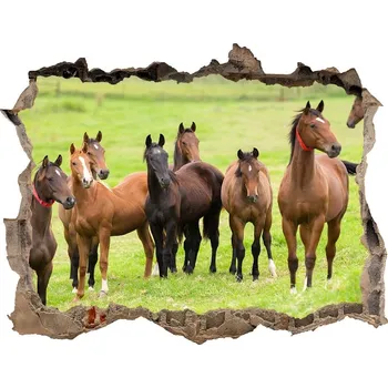 Fototapeta Díra 3D fototapeta nálepka Stádo koní na louce