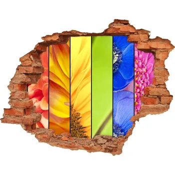 Fototapeta Samolepící díra nálepka Barevné květiny